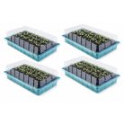 GardenLine PNK 36 x 23 x 12.5 cm 96 darabos palántázó készlet, 4 részes palántenevelő, vetőmag keltető készlet, mini melegágy 4 x 24 db palánta részére, átlátszó fedéllel
