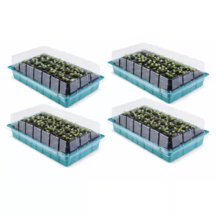   GardenLine PNK 36 x 23 x 12.5 cm 96 darabos palántázó készlet, 4 részes palántenevelő, vetőmag keltető készlet, mini melegágy 4 x 24 db palánta részére, átlátszó fedéllel