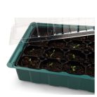 GardenLine PNK 36 x 23 x 12.5 cm 96 darabos palántázó készlet, 4 részes palántenevelő, vetőmag keltető készlet, mini melegágy 4 x 24 db palánta részére, átlátszó fedéllel