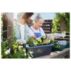 GardenLine PNK 36 x 23 x 12.5 cm 96 darabos palántázó készlet, 4 részes palántenevelő, vetőmag keltető készlet, mini melegágy 4 x 24 db palánta részére, átlátszó fedéllel