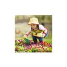 Klein 7 részes gyermek játék kerti szett: fém talicska, műanyag locsolókanna, kesztyű és fém / fa ültető szerszámok (ásó, gereblye, villa)