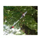 ParkSide PEKG 2 B2 kombinált 800W 50 cm elektromos, vezetékes magassági sövényvágó, sövénynyíró és 25 cm teleszkópos ágvágó fűrész 3.5 méter munkamagassággal