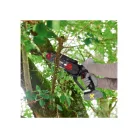 ParkSide Performance PPAGHS 20-Li A1 SOLO 24 cm 20V X20V prémium akkus cserjevágó, kézi fűrész, mini láncfűrész, automata láncolajozással, akku és töltő nélkül