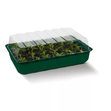 ParkSide PNK 36 x 22 x 12 cm 96 darabos palántázó készlet, 4 részes palántenevelő készlet, mini melegágy 4 x 24 db palánta részére, átlátszó fedéllel
